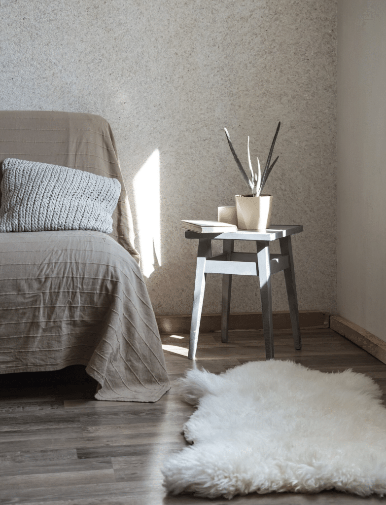 couch and a side table with a plant on it